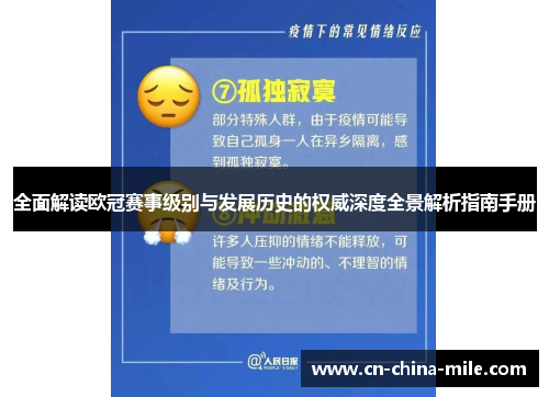 全面解读欧冠赛事级别与发展历史的权威深度全景解析指南手册