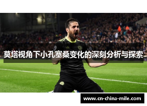 莫塔视角下小孔塞桑变化的深刻分析与探索