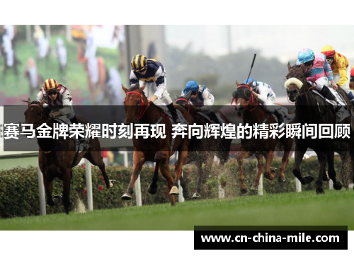 赛马金牌荣耀时刻再现 奔向辉煌的精彩瞬间回顾 赛马金牌荣耀时刻再现 奔向辉煌的精彩瞬间回顾