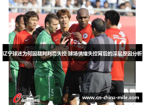辽宁球迷为何因裁判判罚失控 球场情绪失控背后的深层原因分析