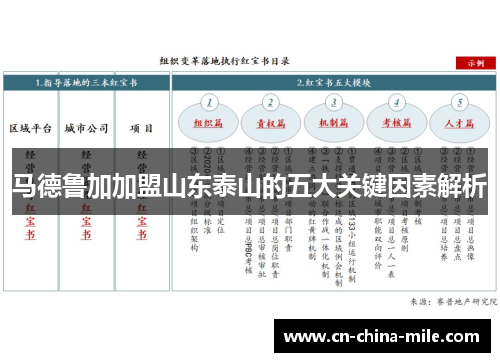 马德鲁加加盟山东泰山的五大关键因素解析